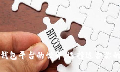 探索精致数字钱包平台的世界：选择适合你的完美数字钱包